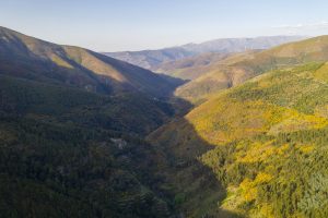 Paisagem da serra da estrela em maio